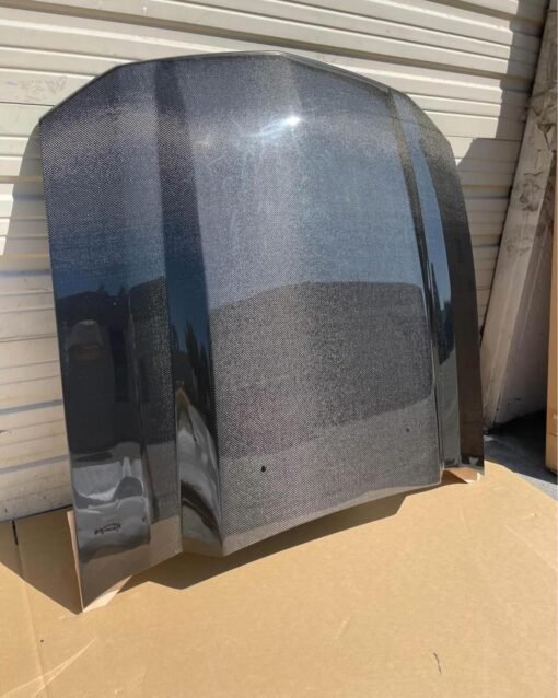 2005 2006 2007 2008 2009 Ford Mustang Cowl Induction Carbon Fiber Hood For Sale