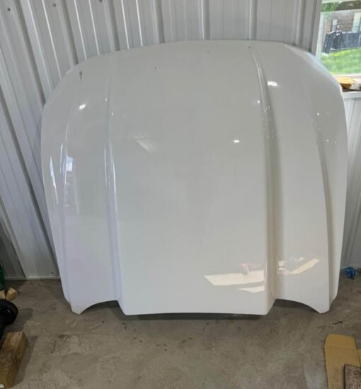 2019 Mustang Cervini 4” cowl hood For Sale