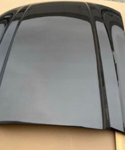 99-2004 Ford Mustang TYPE 3 Cowl induction style Carbon Fiber hood For Sale